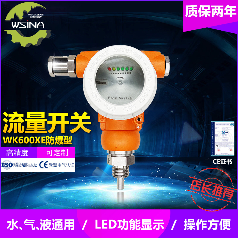 WK-600XE 防爆型数显式智能流量控制器